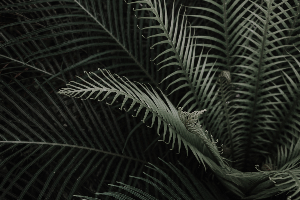 The Byron Saunders Foundation